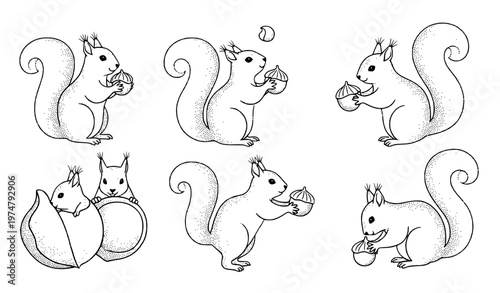 set of funny animals Minimal Squirrel Stipple Dot Art Icon Vector Collection with Cute Woodland Animal Poses