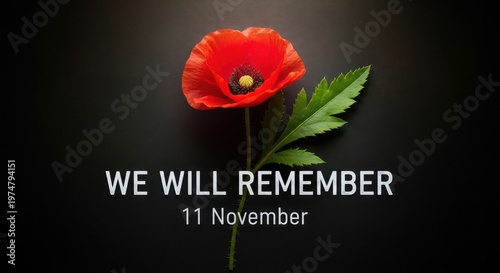A single red poppy flower symbolizing remembrance on the eleventh of november against dark background