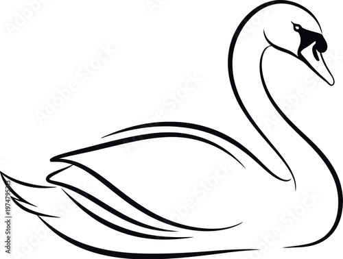 A beautifully depicted graceful swan with a long curved neck and delicate wings, rendered in a striking minimalist black and white line art illustration, embodying serene aquatic elegance.
