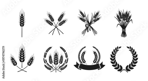 Vector illustration of set of wheat ears icons, grain stalks and cereal crops, vector illustration on a transparent background