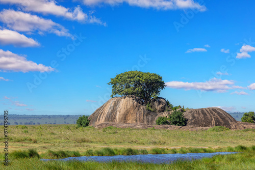 Landschaft der Serengeti in Tansania