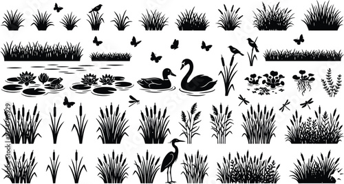 Schilderij op canvas Wetland Plant Silhouette Collection with Birds Grass Reeds Vector Set