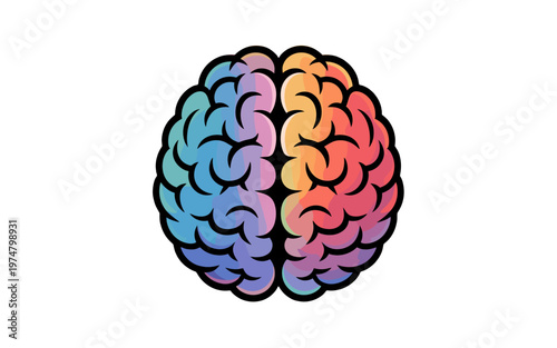 A colorful illustration of the human brain.