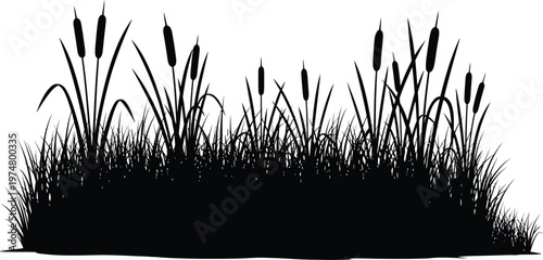 Black grass and reeds silhouette border isolated on white background