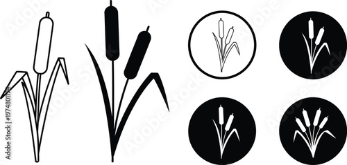 Cattail reed silhouettes icons set with botanical wetland plant symbols