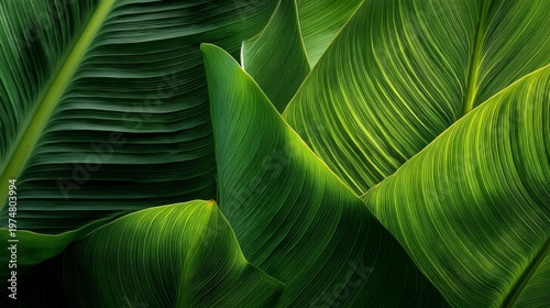 Close-Up View of Vibrant Green Tropical Leaves with Intricate Texture and Patterns, Highlighting Natural Beauty and Organic Design Elements