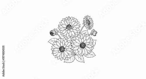 Delicate black and white sketch of a floral arrangement with multiple blooms and buds