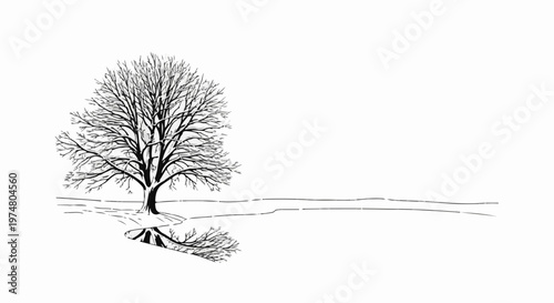 Detailed line art of a bare tree beside a body of water with reflection