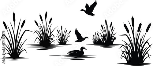 Wetland birds and reeds silhouettes with ducks flying over water