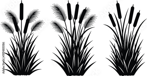 Cattail and grass silhouettes collection with wetland plants botanical design