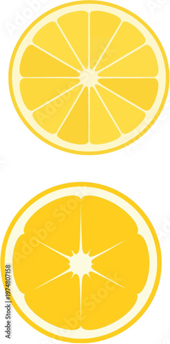Two cross-sectional views of a lemon slice showcasing internal structure