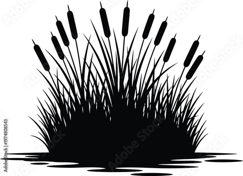 Cattail reeds silhouette by water with dense grass wetland plants