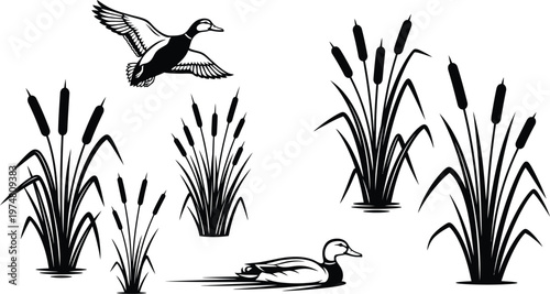 Wetland bird and reed silhouettes set with ducks and flying birds