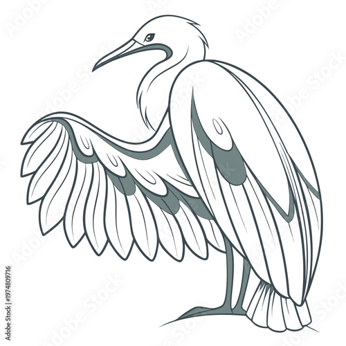 Gray Heron bird wings beak