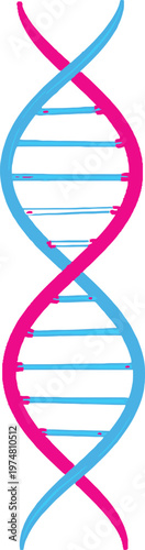 A stylized illustration of a double helix structure representing dna molecules