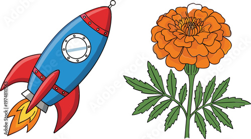 Cartoon space rocket launching with flame and detailed marigold flower botanical illustration colorful vector set for science education and nature design