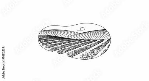 Stylized illustration of rolling hills with cultivated crops and a sun emblem