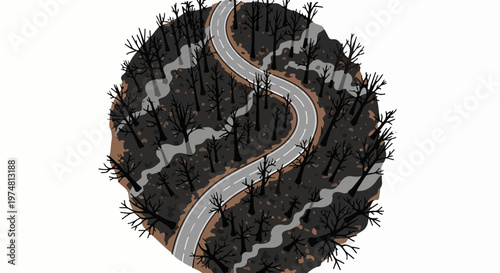 A winding road cuts through a dark, barren forest with a gray, dry riverbed