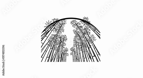 Tall bamboo stalks arch over viewer, creating a natural tunnel effect