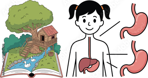 Fantasy storybook treehouse scene with pond swans and educational human digestive system diagram cartoon vector illustration for children learning concept