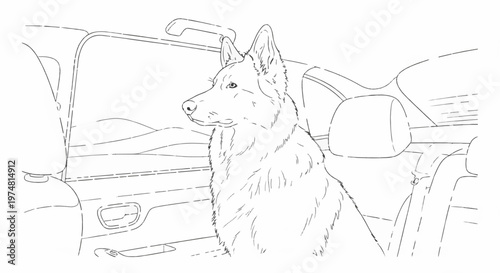 Dog sits in a car with scenic hills visible through the window
