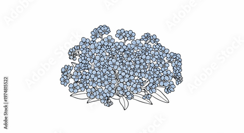 A delicate cluster of small blue flowers with dark centers, outlined in black