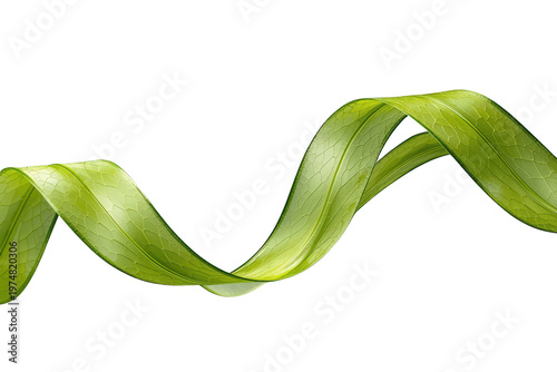 Green leaf forming a wavy ribbon, symbolizing growth, natural beauty, ecology, and health. Transparent background