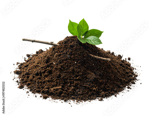 Dark, rich soil mound with green leaves and twig