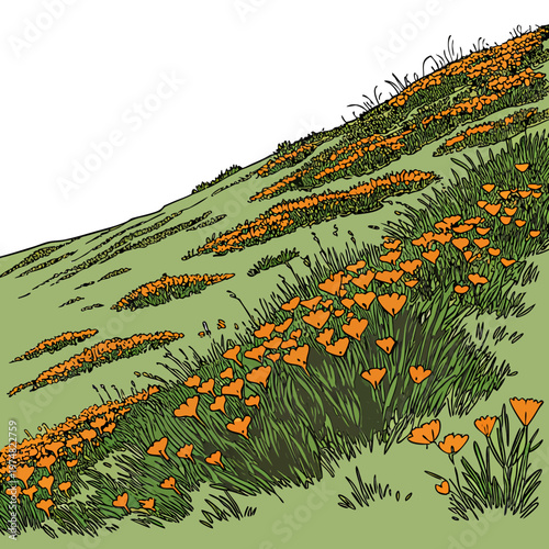 A vibrant illustration depicts a hillside densely covered in blooming orange california poppies and lush green foliage high quality professional detailed modern