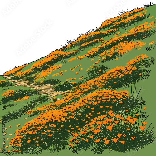 A vibrant illustration depicts a lush green hillside completely covered in a dense bloom of bright orange california poppies high quality professional
