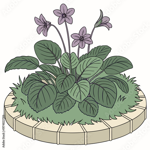 A charming illustration depicts several purple violets with vibrant green leaves growing within a circular brick lined flowerbed high quality professional detailed