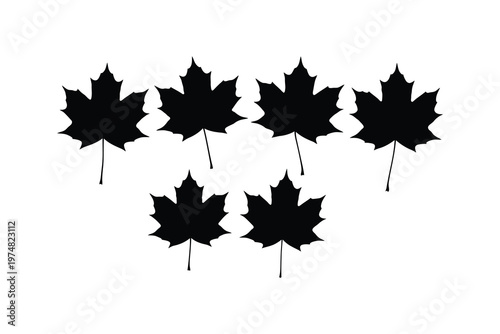 Five Black Maple Leaves Silhouettes on White Background, Nature Illustration, Autumn Symbols, Simple and Clean Design