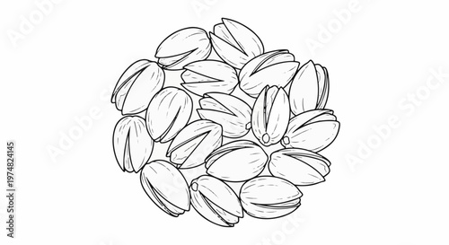 A cluster of pistachios drawn in a simple, black and white outline style