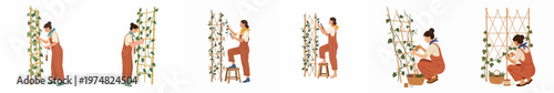 Set of flat illustrations featuring a female gardener caring for climbing plants on bamboo trellises, including pruning, tying, and harvesting tasks.