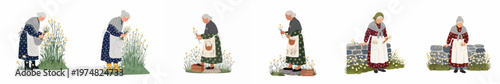 Set of flat vector illustrations featuring elderly women gathering and arranging fresh chamomile flowers in traditional rural clothing.