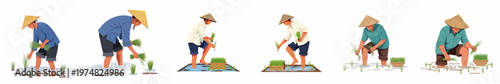 Set of flat vector illustrations depicting Asian rice farmers in traditional conical hats planting seedlings in paddy fields, isolated on a white background.