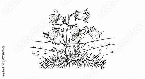 Delicate bluebells bloom vibrantly in a grassy meadow