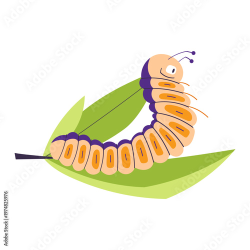 Cute colorful caterpillar crawling on green leaf. Simple funny insect character isolated on white background