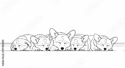 A row of five adorable corgi puppies sleeping peacefully