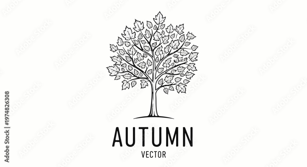 Fototapeta premium Sketch of a deciduous tree with numerous leaves, representing autumn