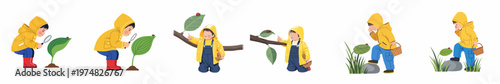 Set of flat vector illustrations of a child in a yellow raincoat exploring nature, observing ladybugs with a magnifying glass and basket.