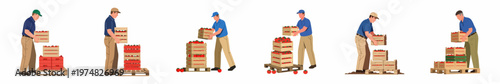 Set of male farm workers stacking wooden crates of fresh red tomatoes on pallets, flat vector illustration on white background.