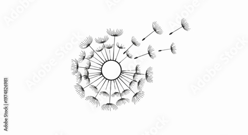 Delicate dandelion seeds scatter on a white background, symbolizing wishes