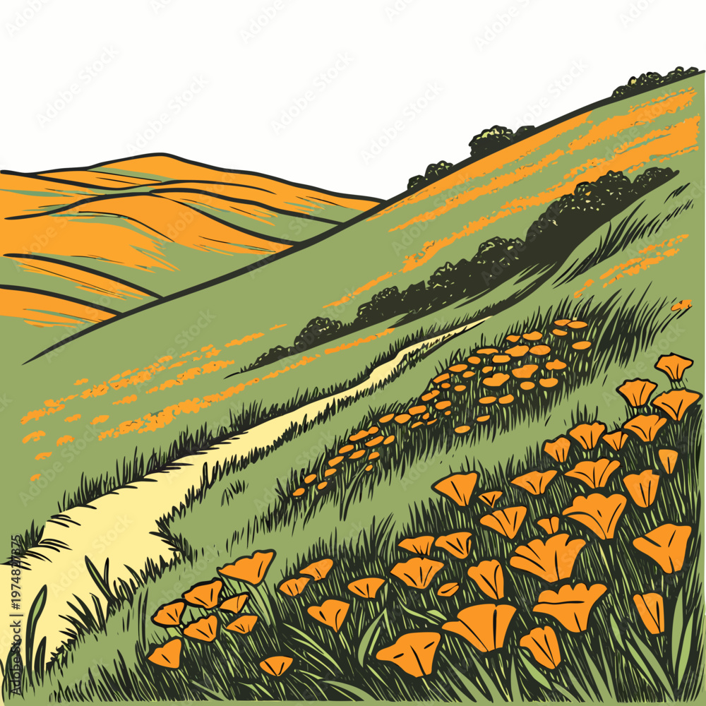 Obraz premium A stylized illustration depicts a winding dirt path leading through a vibrant hillside covered in golden california poppies high quality professional detailed