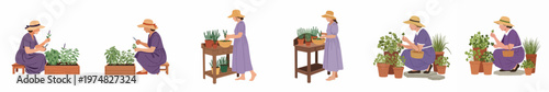 Set of vector illustrations featuring a woman in a purple dress and straw hat harvesting and tending to fresh garden herbs.