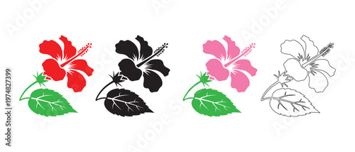 Four different varieties of flowering plants with colorful blooms and green leaves isolated on transparent background