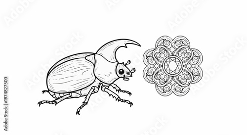 Detailed line drawing of a rhinoceros beetle and an ornamental mandala with a central gem