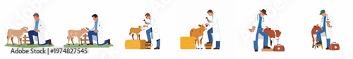 Set of illustrations featuring male veterinarians in white coats conducting medical examinations and providing care for young calves on a farm.