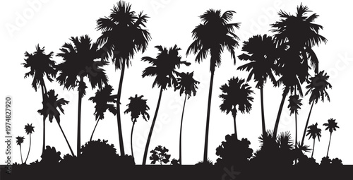 Silhouettes of tall palm trees against a light background creating a tropical ambiance