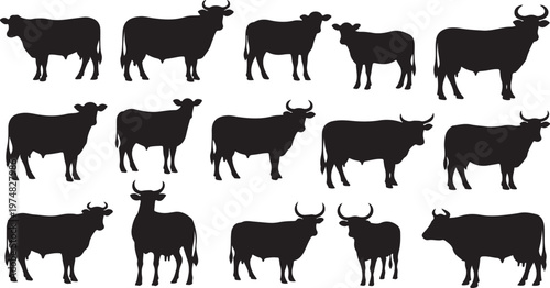 Collection of black cow silhouettes in various poses and sizes